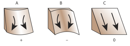 Courbure planiforme Courbure planiforme