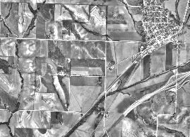 Image en nuances de gris non filtrée Image en nuances de gris non filtrée