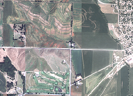 Image couleur non filtrée Image couleur non filtrée