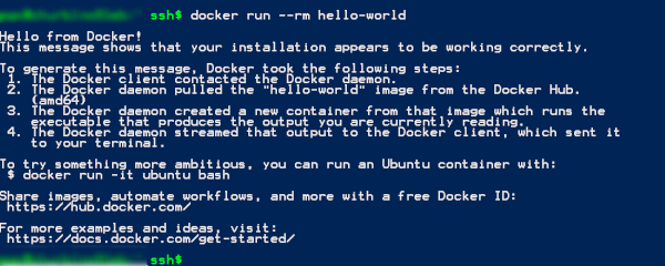 Exemple de sortie de vérification de la console Docker
